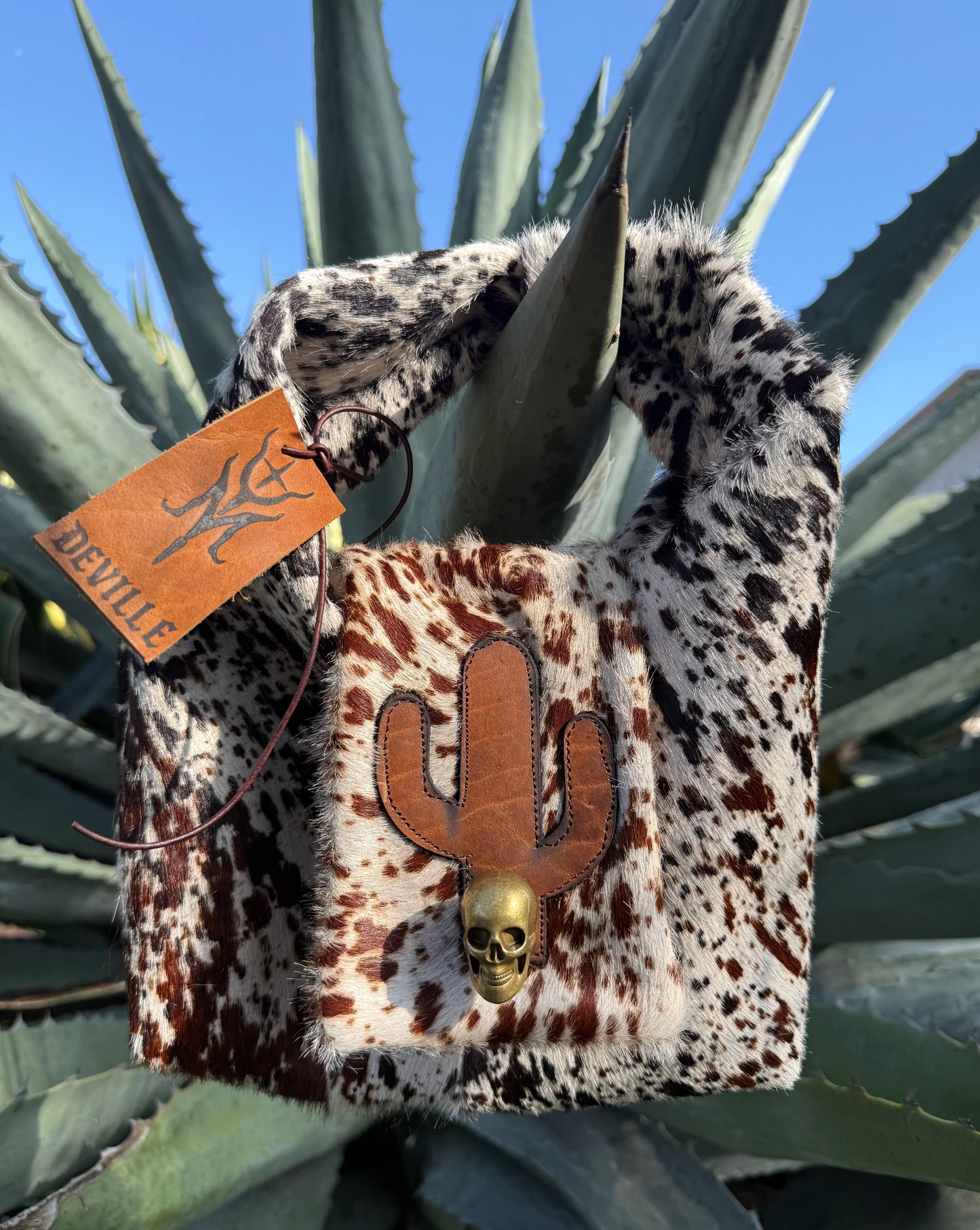 The Cactus Bandit