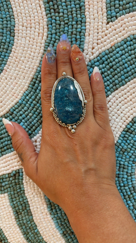 Ocean Oracle